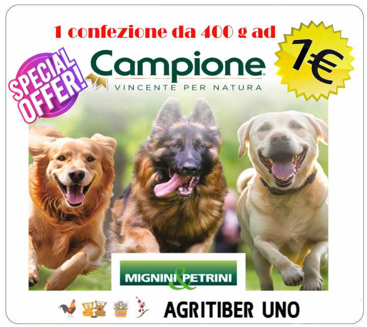 offerta campione