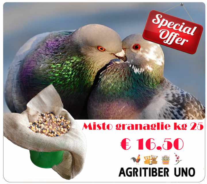 offerta granaglie piccioni