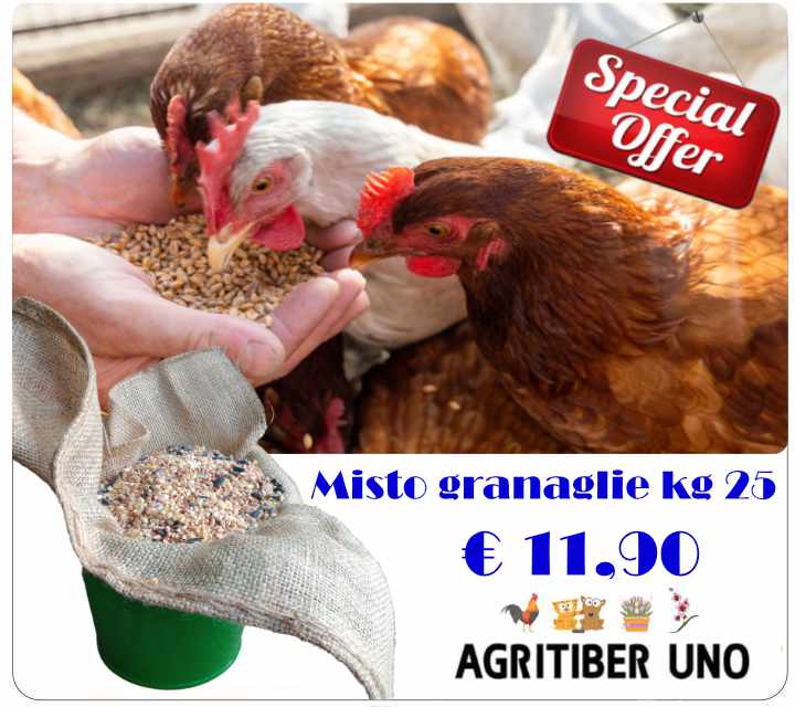 offerta granaglie polli