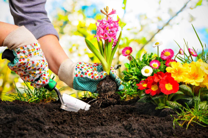 Attrezzi speciali per legno - Giardinaggio, fiori, animali e